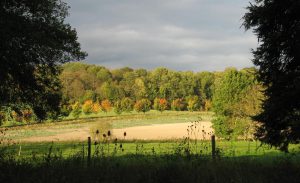 parc-grignon